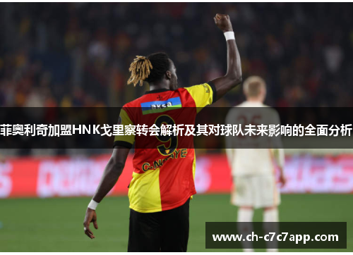 菲奥利奇加盟HNK戈里察转会解析及其对球队未来影响的全面分析 菲奥利奇加盟HNK戈里察转会解析及其对球队未来影响的全面分析