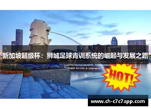 新加坡超级杯：狮城足球青训系统的崛起与发展之路