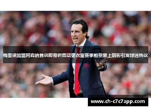 梅里诺加盟阿森纳首训即骨折震动更衣室赛季前景蒙上阴影引发球迷热议