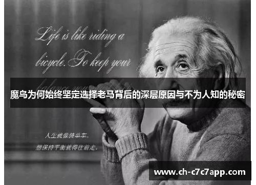 魔鸟为何始终坚定选择老马背后的深层原因与不为人知的秘密 魔鸟为何始终坚定选择老马背后的深层原因与不为人知的秘密